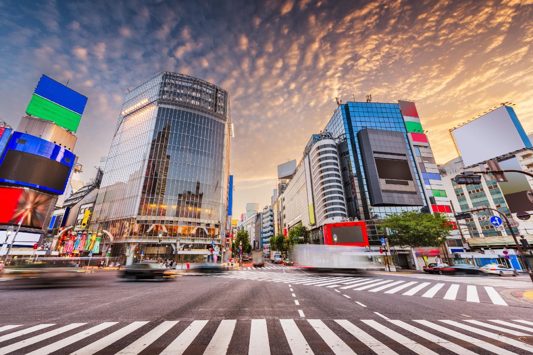 室外景