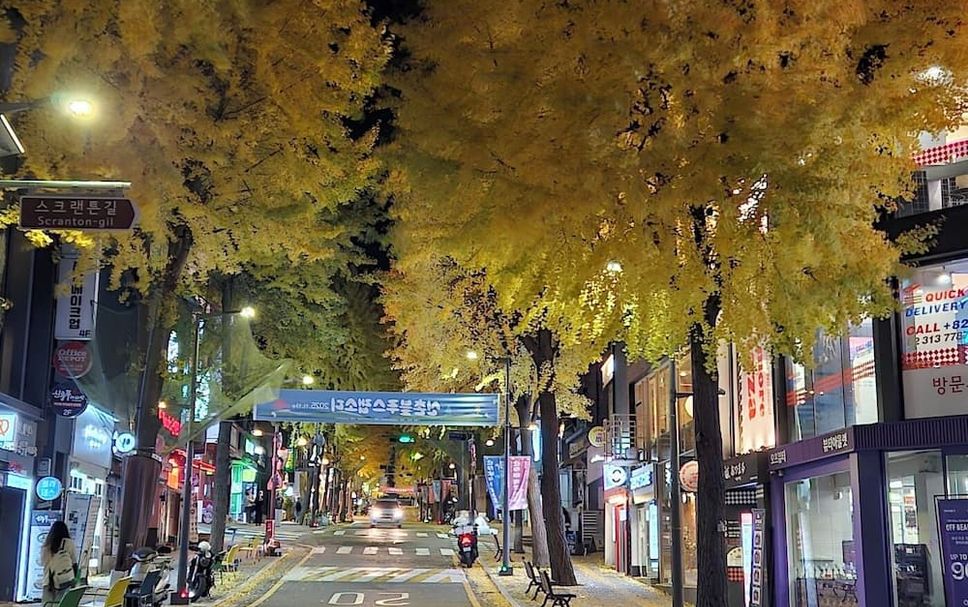 室外景 相片