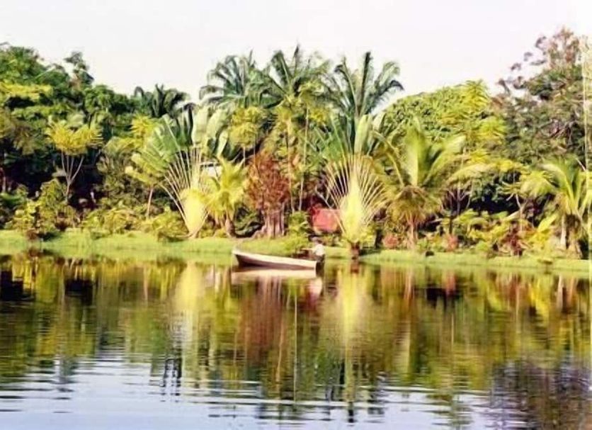室外景 相片