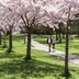 室外景