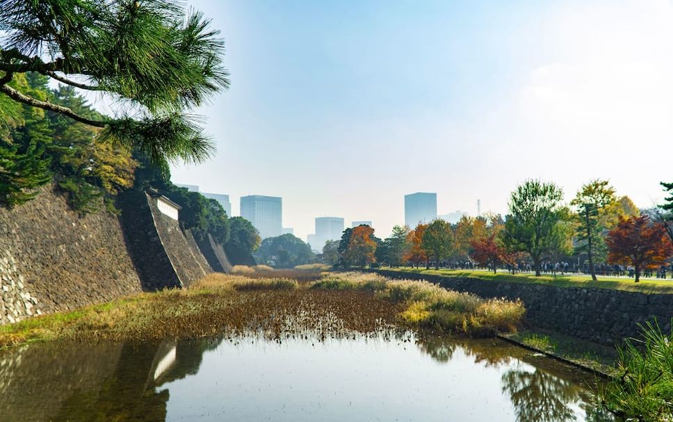 室外景 相片
