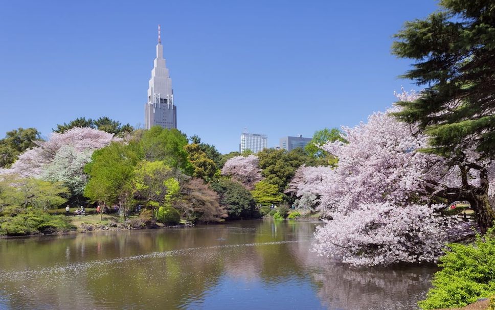 室外景 相片