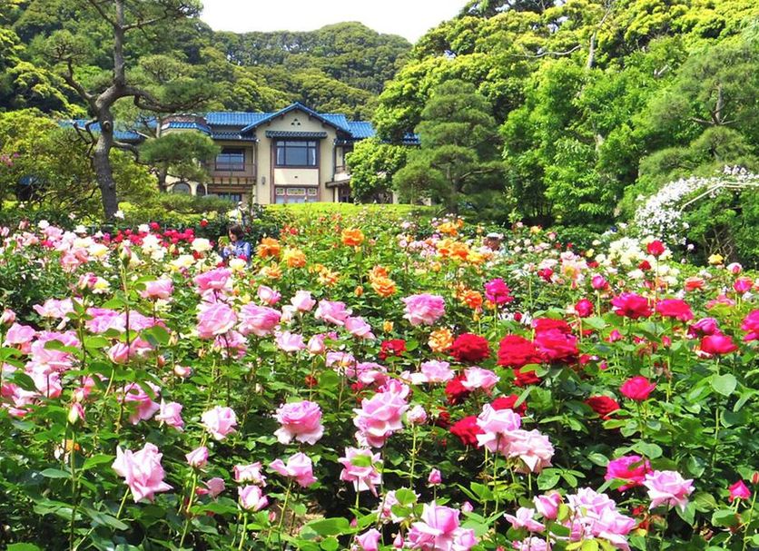 室外景 相片
