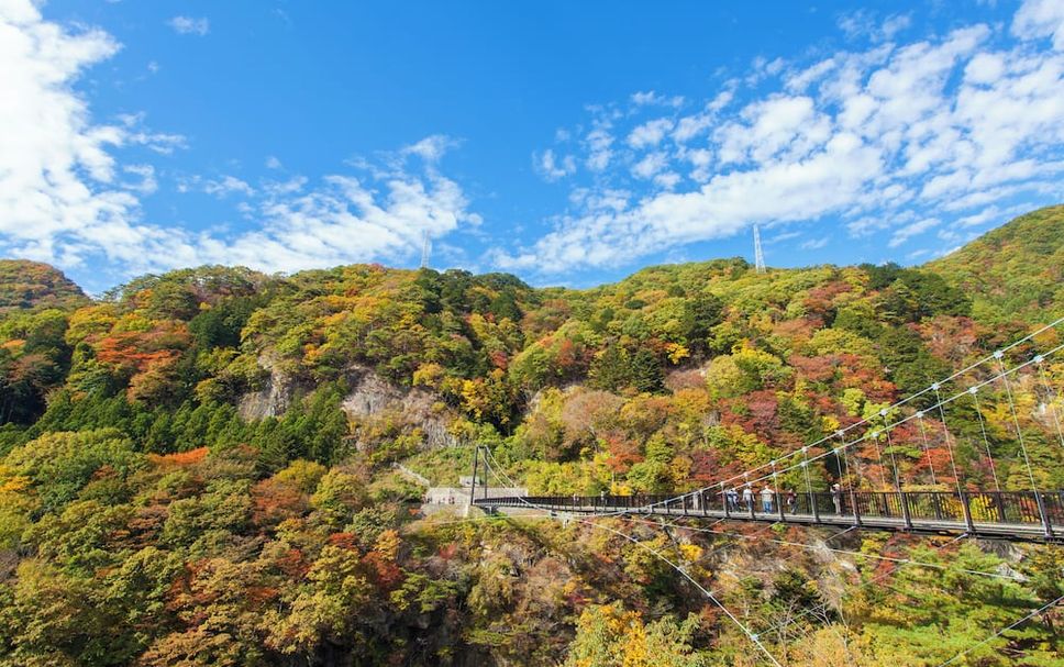 室外景 相片