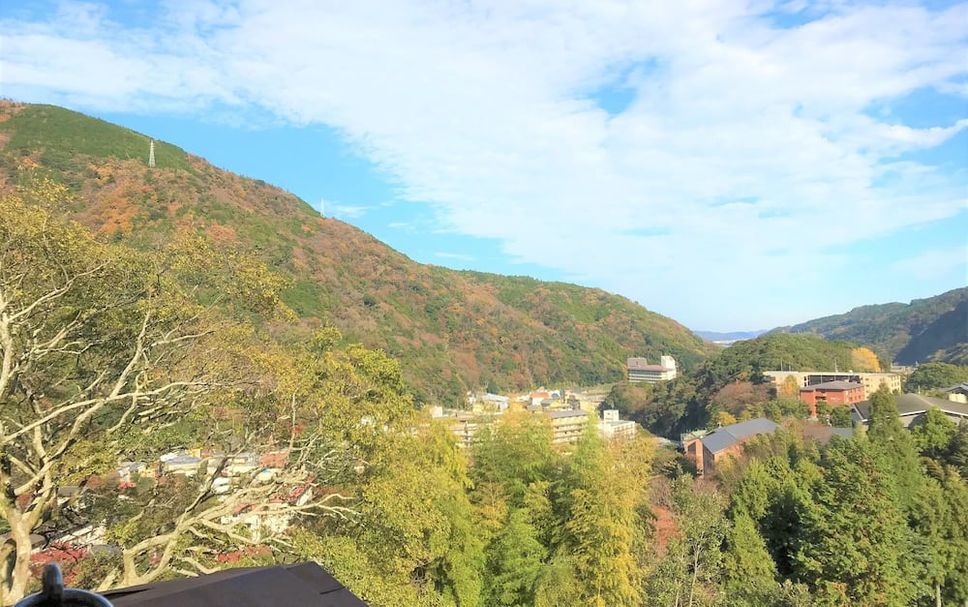 室外景 相片