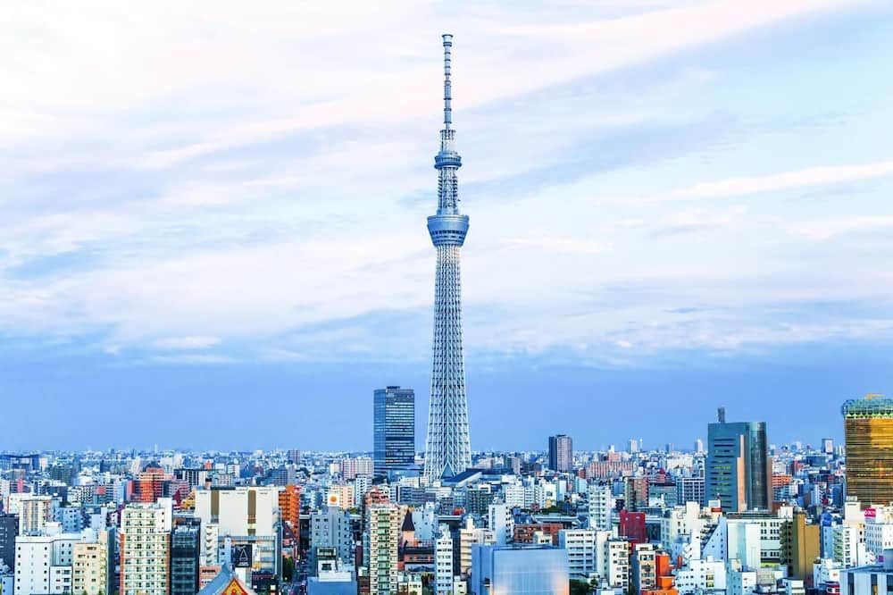 室外景 相片