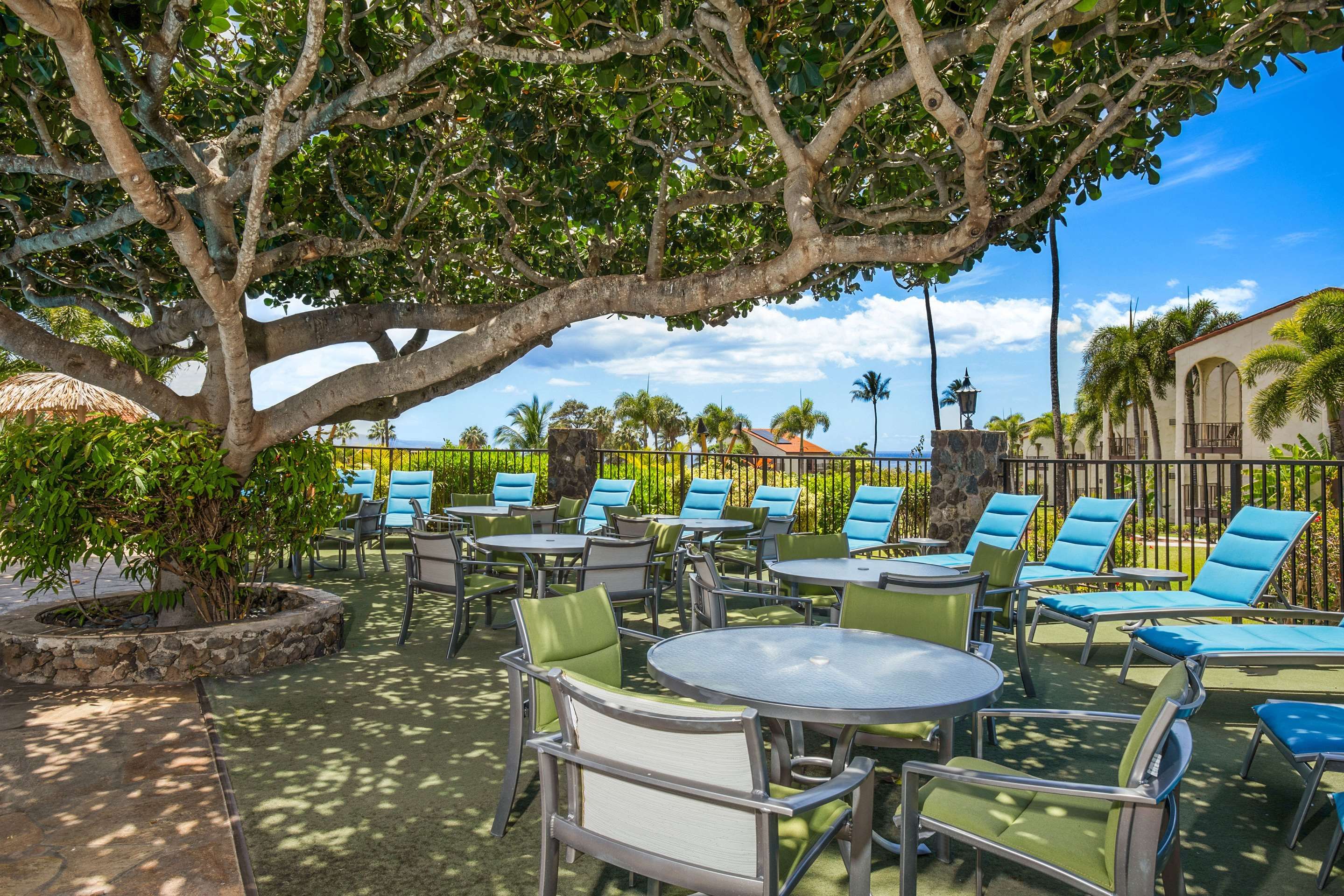 天井
