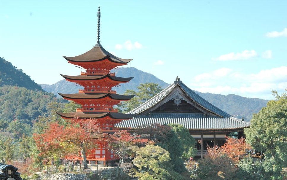 室外景 相片
