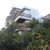 建築