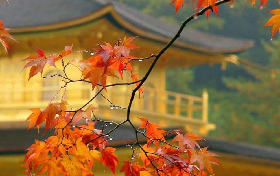 室外景 相片