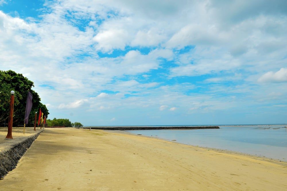 海灘