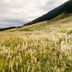 室外景