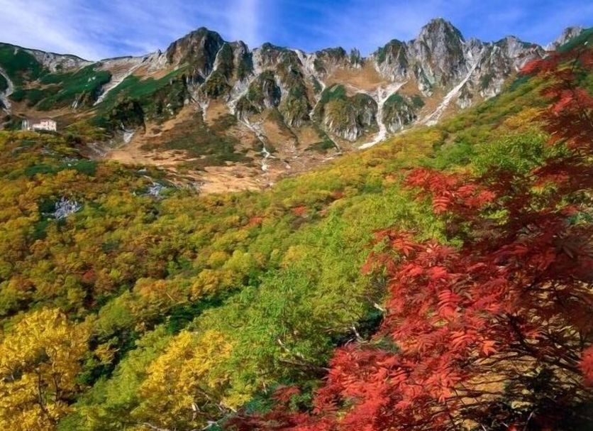 室外景 相片