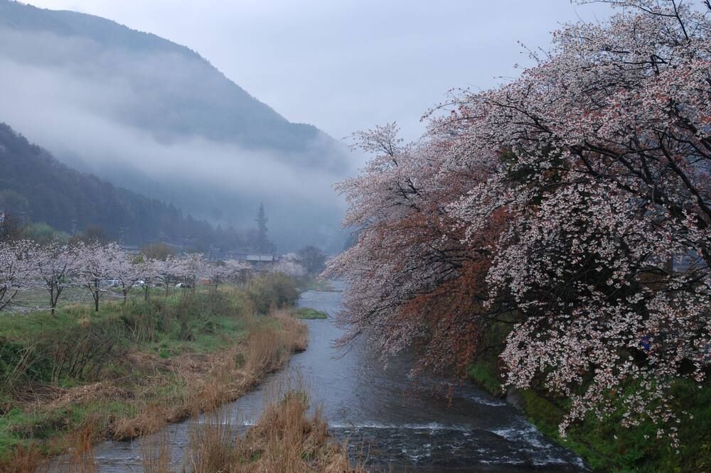 室外景 相片