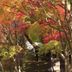 室外景
