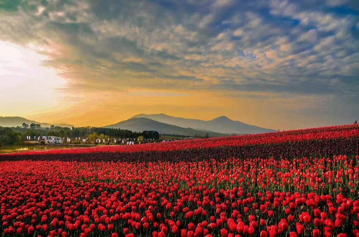 室外景