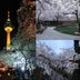 室外景