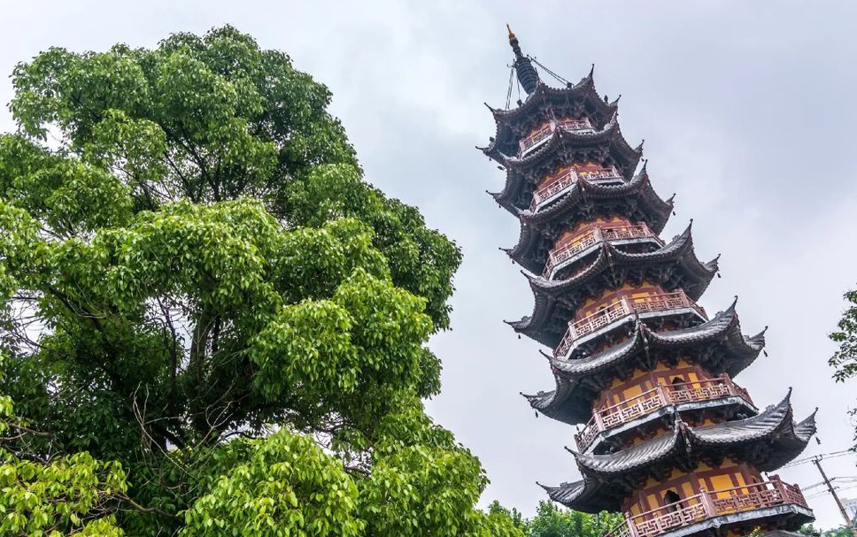 其他 相片