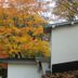 室外景