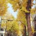 室外景