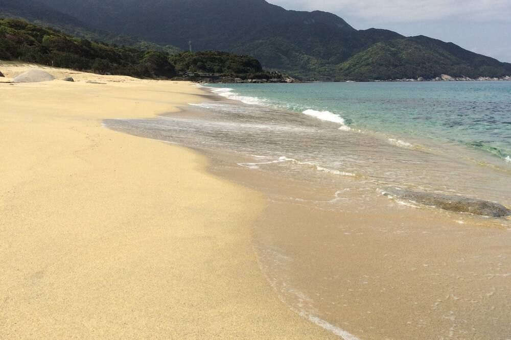 海灘