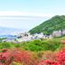 室外景