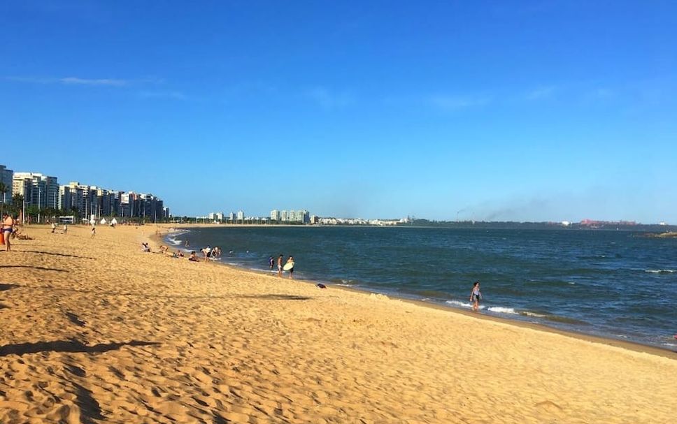 海灘 相片