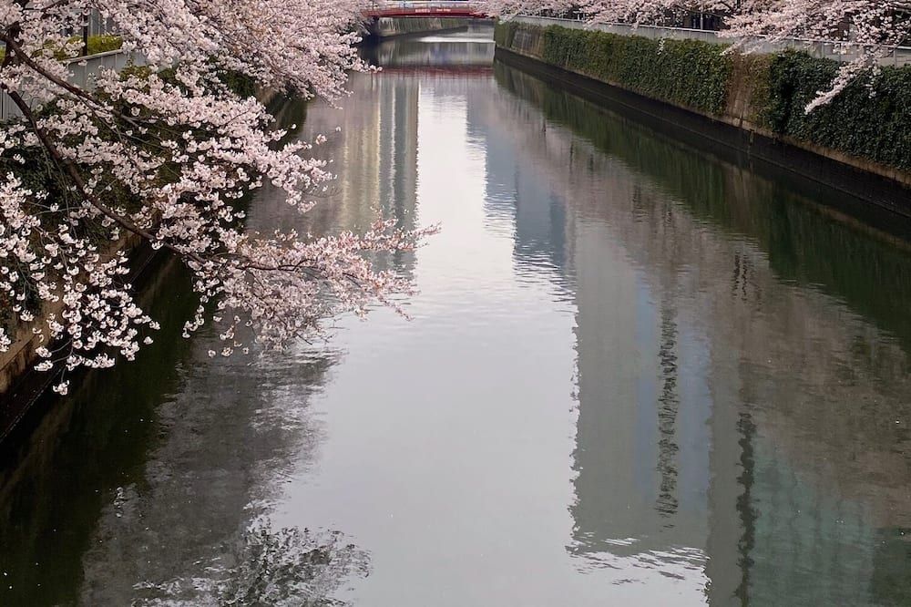 室外景