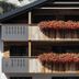 建築