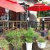 天井