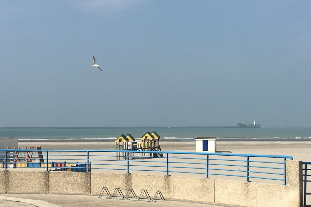 海灘 相片
