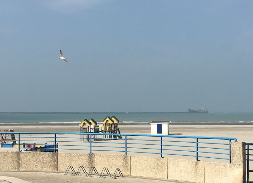 海灘 相片