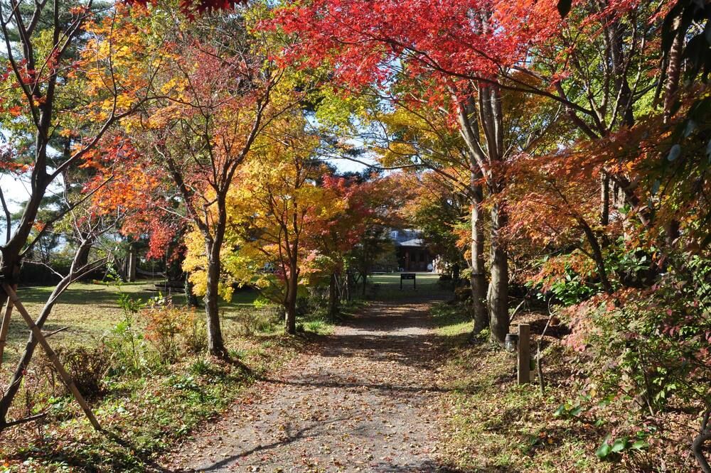 室外景