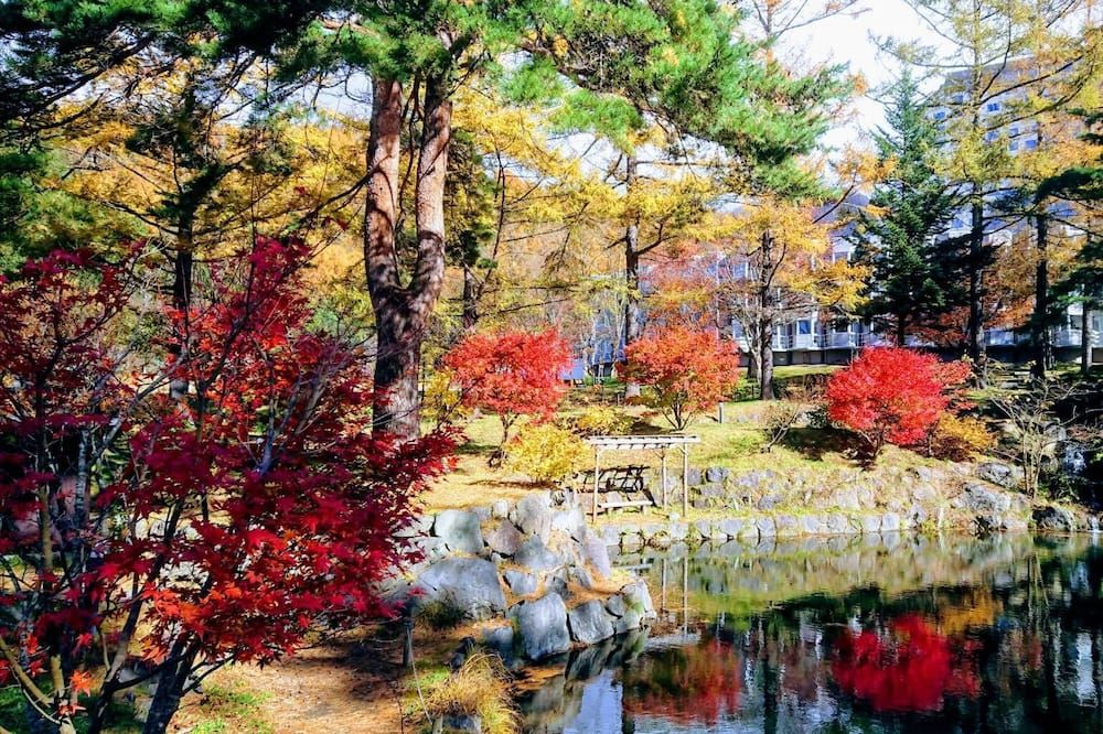 室外景