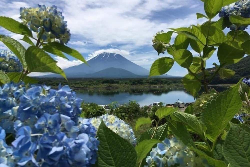 室外景