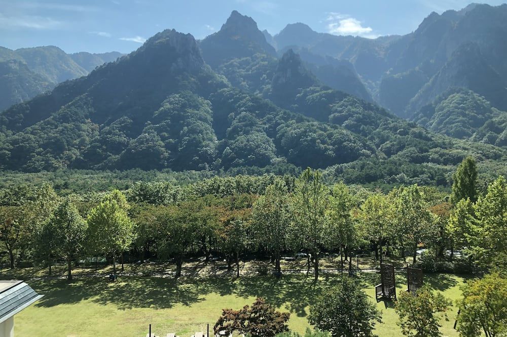室外景 相片