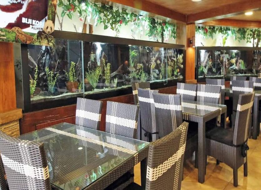 餐廳 相片
