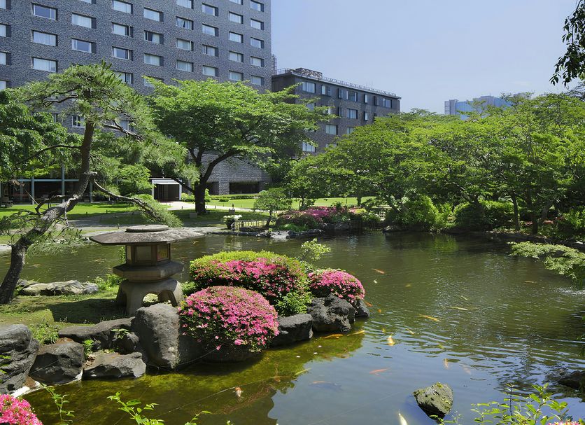 室外景 相片