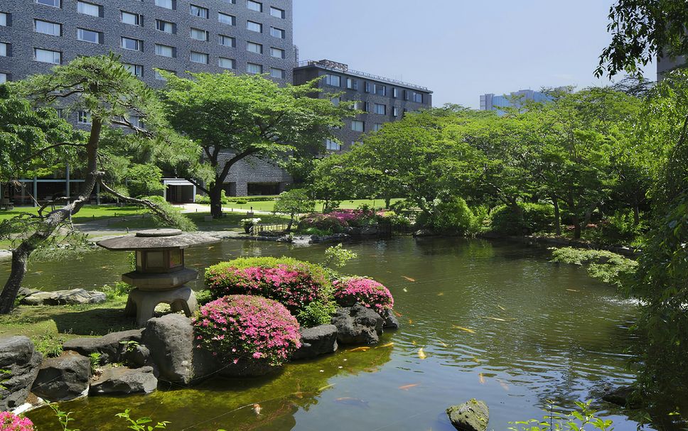 室外景 相片