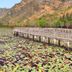 室外景