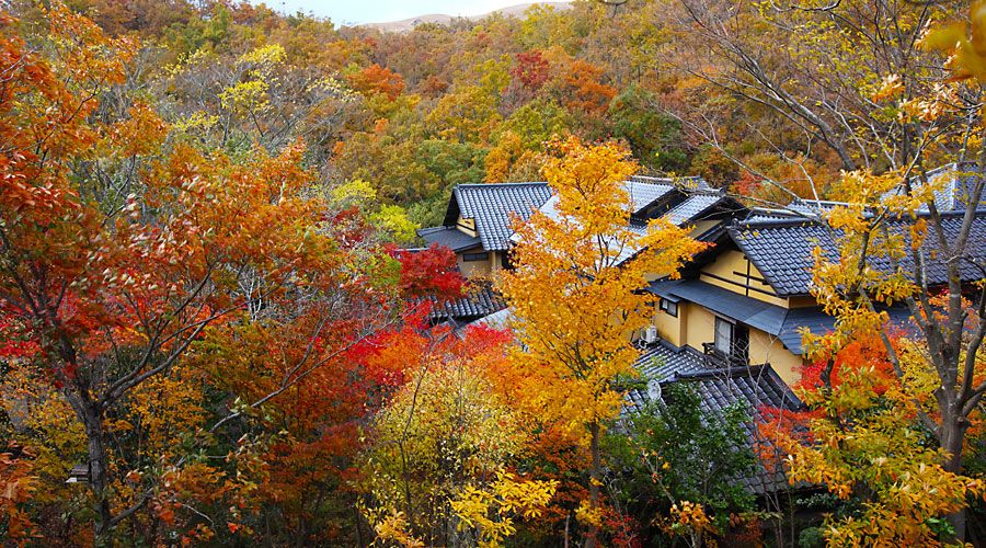 建築